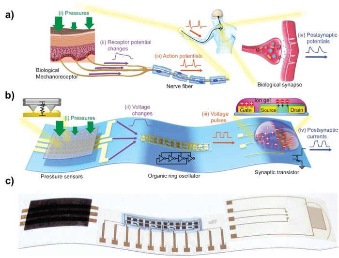 Figure 21