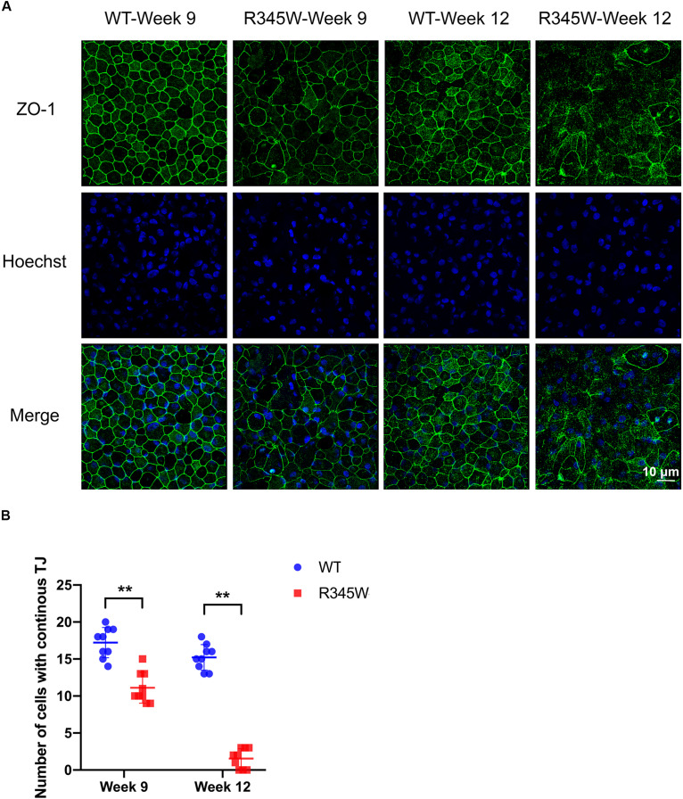 FIGURE 3