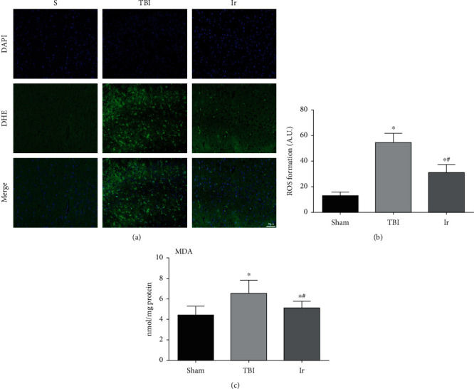 Figure 6