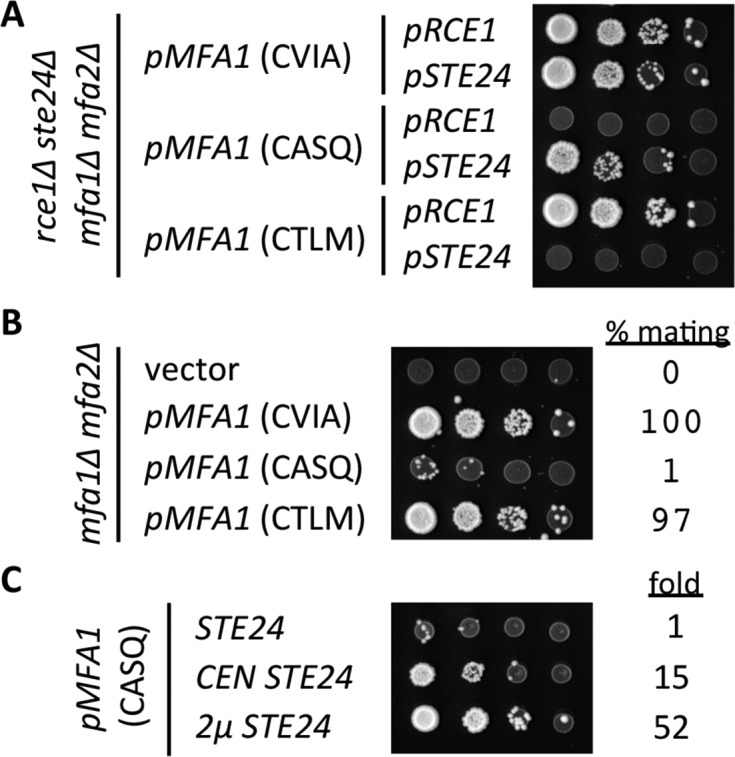 Figure 6.