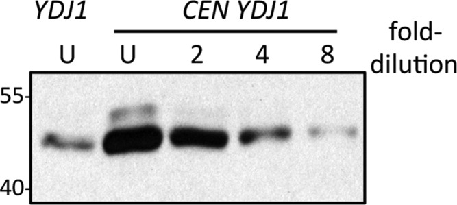 Figure 1—figure supplement 2.