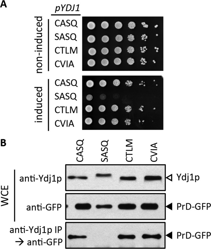 Figure 7.