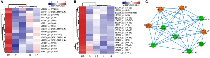 Figure 10