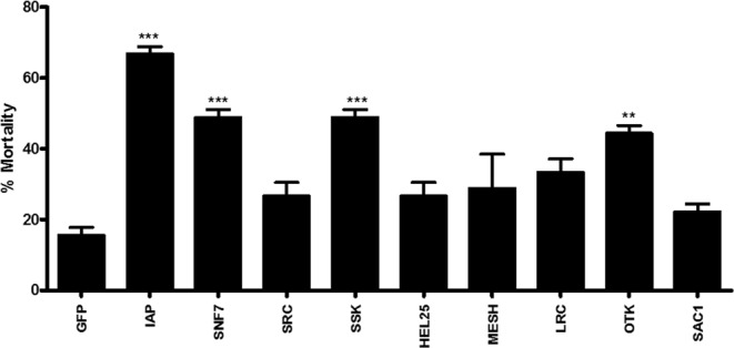 Figure 5