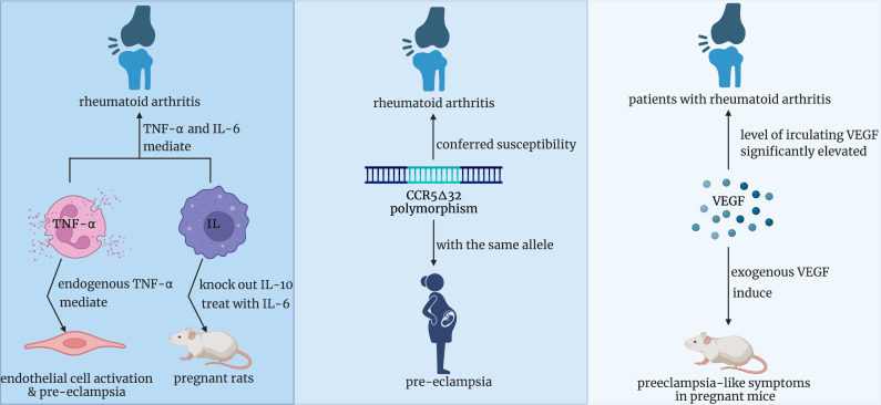 Figure 6