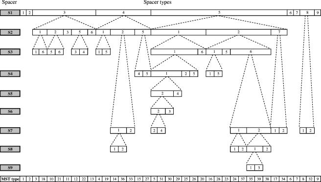 FIG. 2.