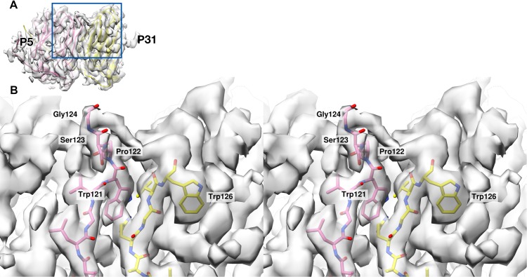 Figure 4—figure supplement 4.