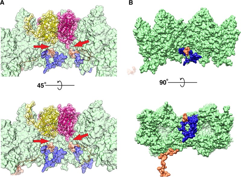 Figure 6.