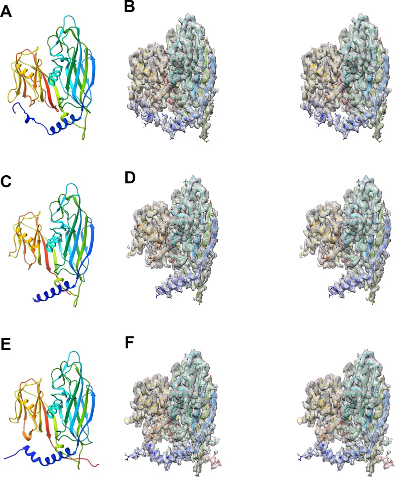 Figure 2—figure supplement 1.