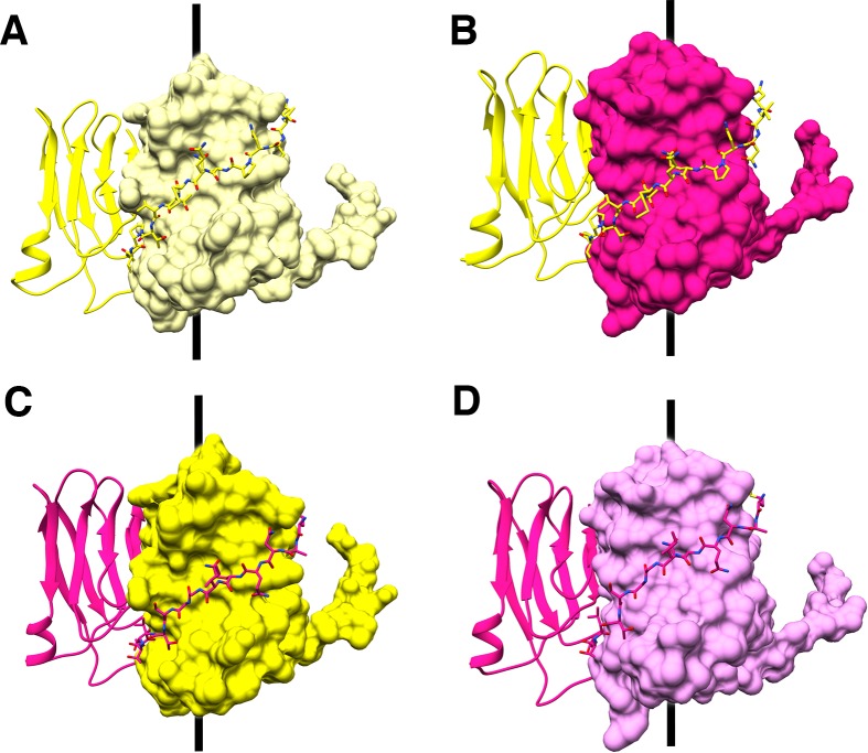 Figure 4—figure supplement 7.