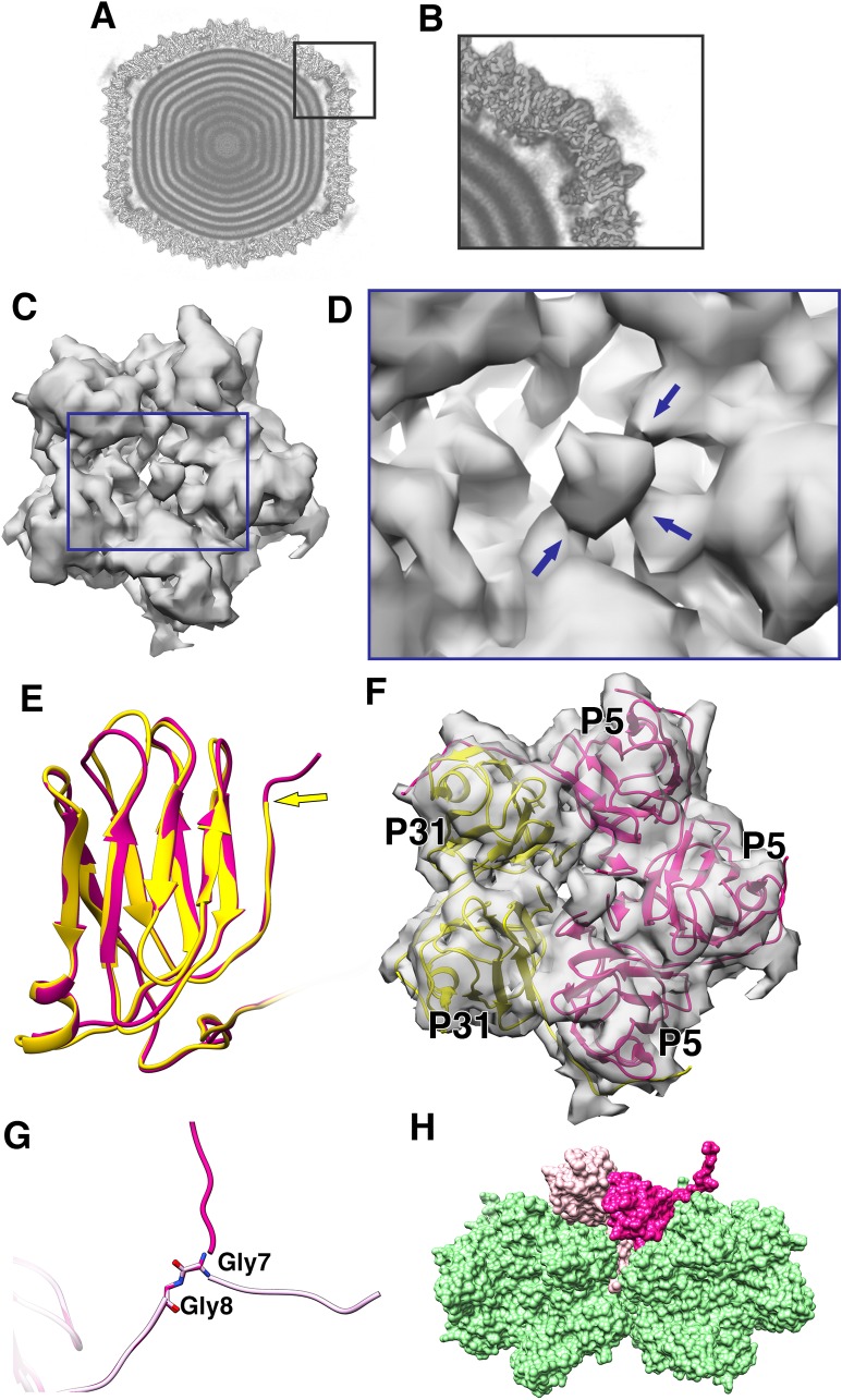 Figure 4.