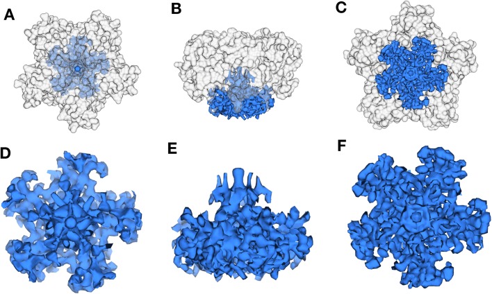 Figure 6—figure supplement 3.