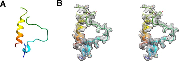 Figure 6—figure supplement 1.