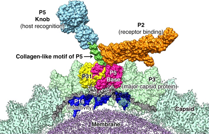 Figure 7.