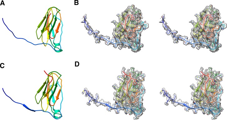 Figure 4—figure supplement 3.