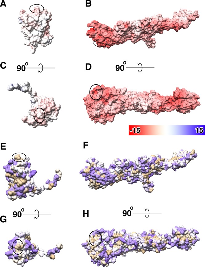 Figure 5—figure supplement 2.