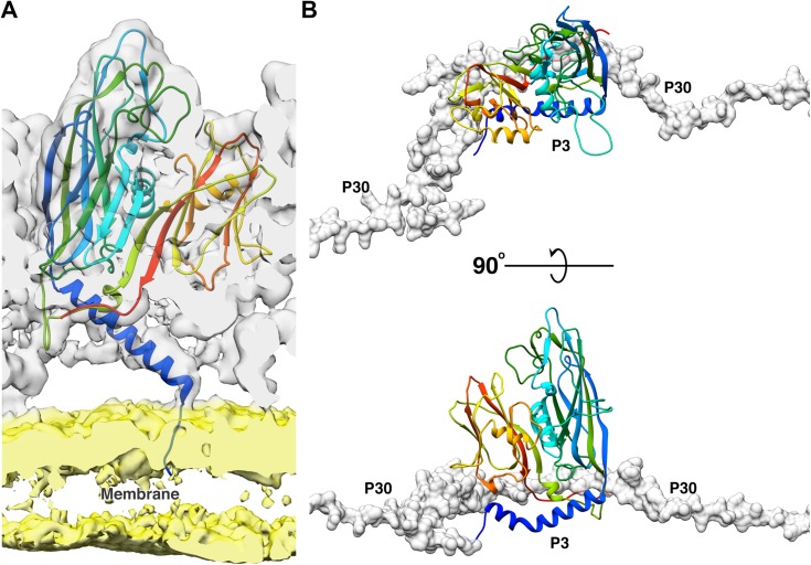 Figure 3.