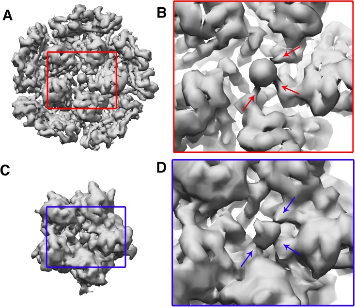 Figure 4—figure supplement 6.