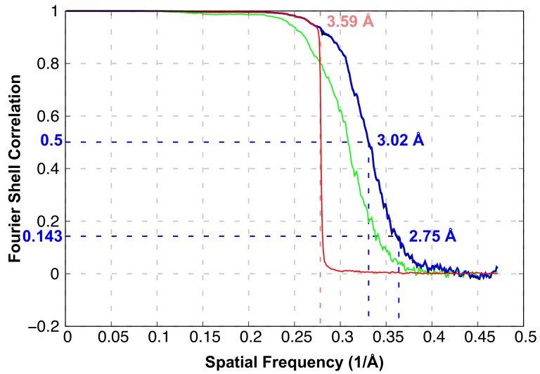 Figure 1—figure supplement 1.