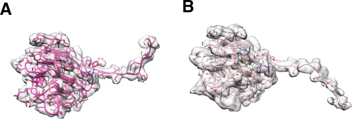 Figure 4—figure supplement 5.