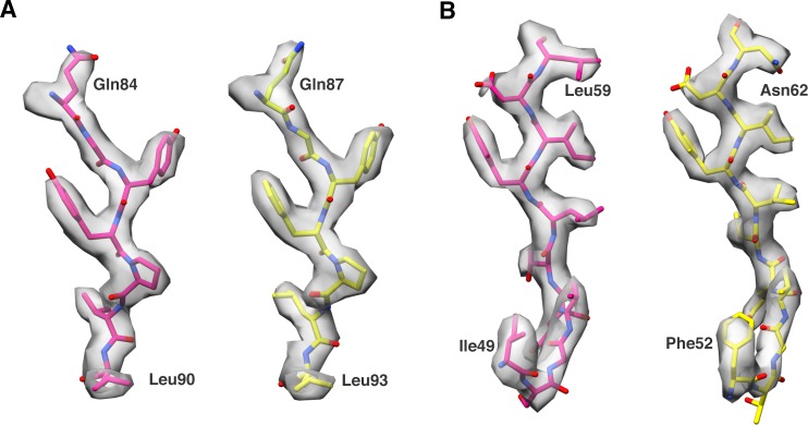 Figure 4—figure supplement 2.