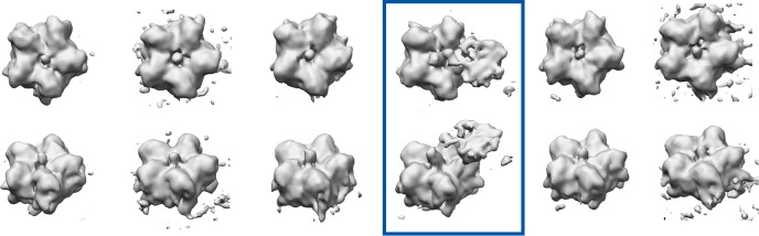 Figure 5—figure supplement 1.