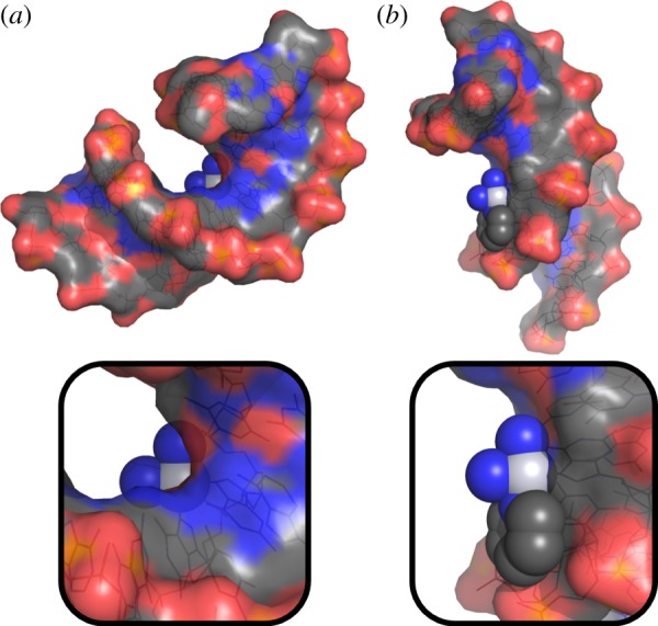 Figure 5.