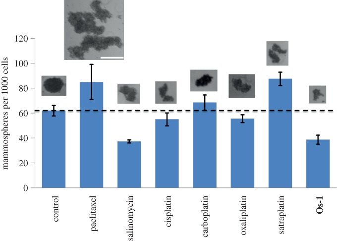 Figure 7.