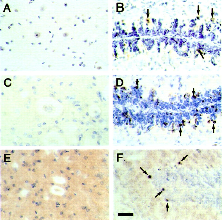 Fig. 10.