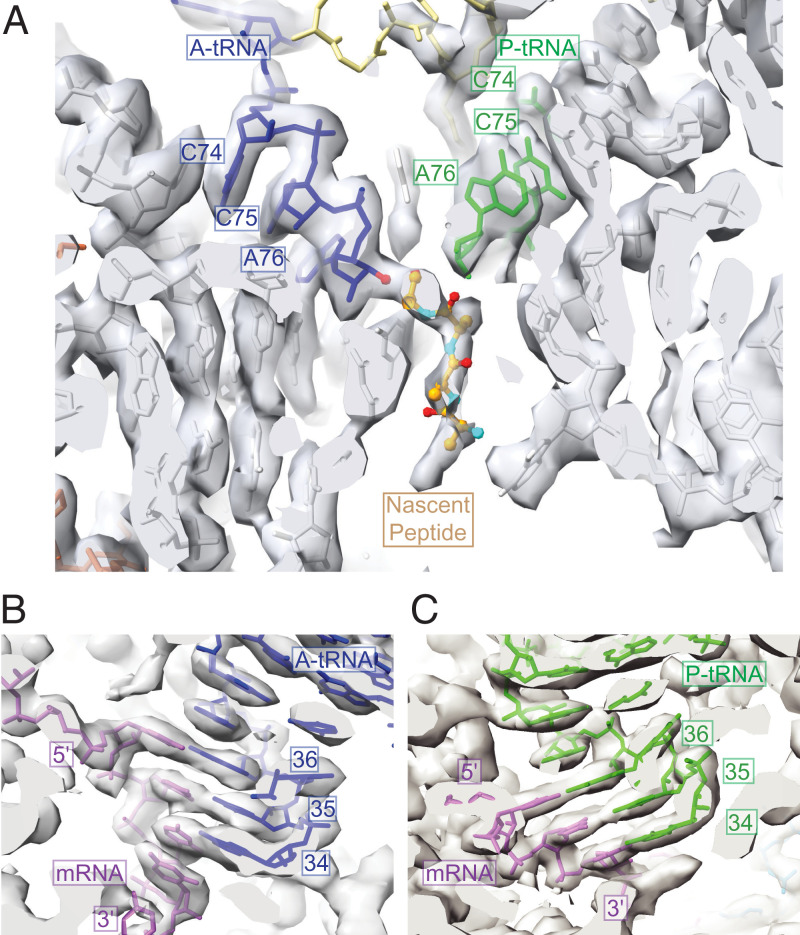 Fig. 3.