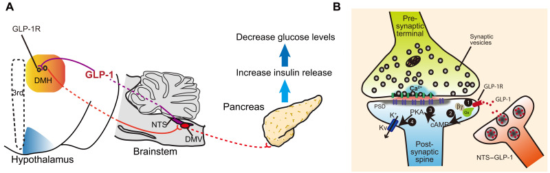 Fig. 7.