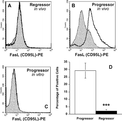 Fig. 3A–D.