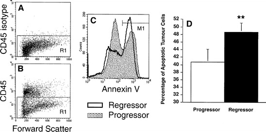 Fig. 1A–D.