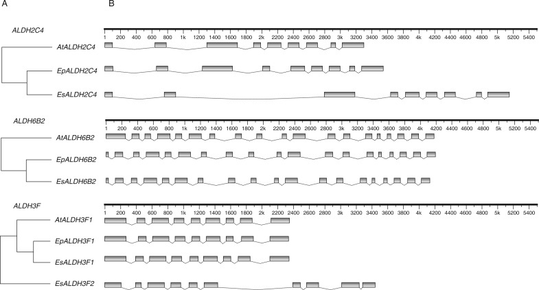 Fig. 3.