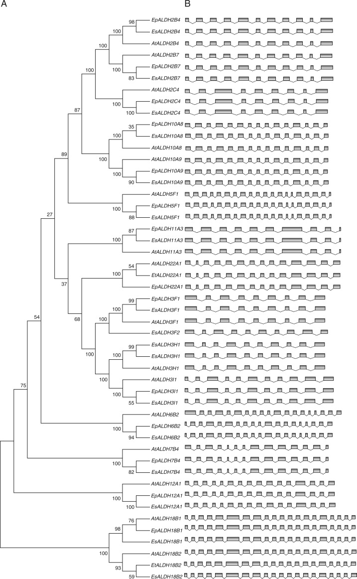 Fig. 2.