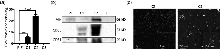 FIG. 5.