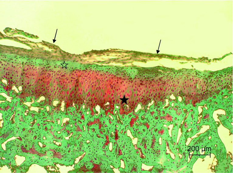 Fig. 3