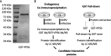 FIG 1