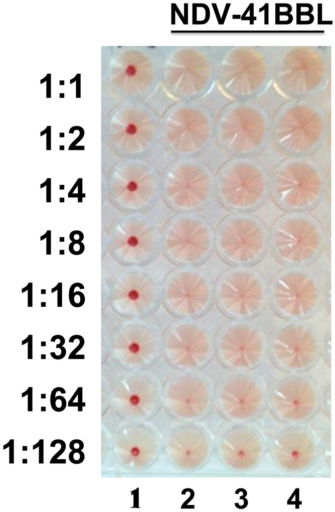 Figure 3: