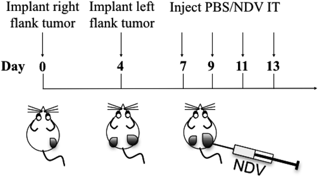 Figure 6: