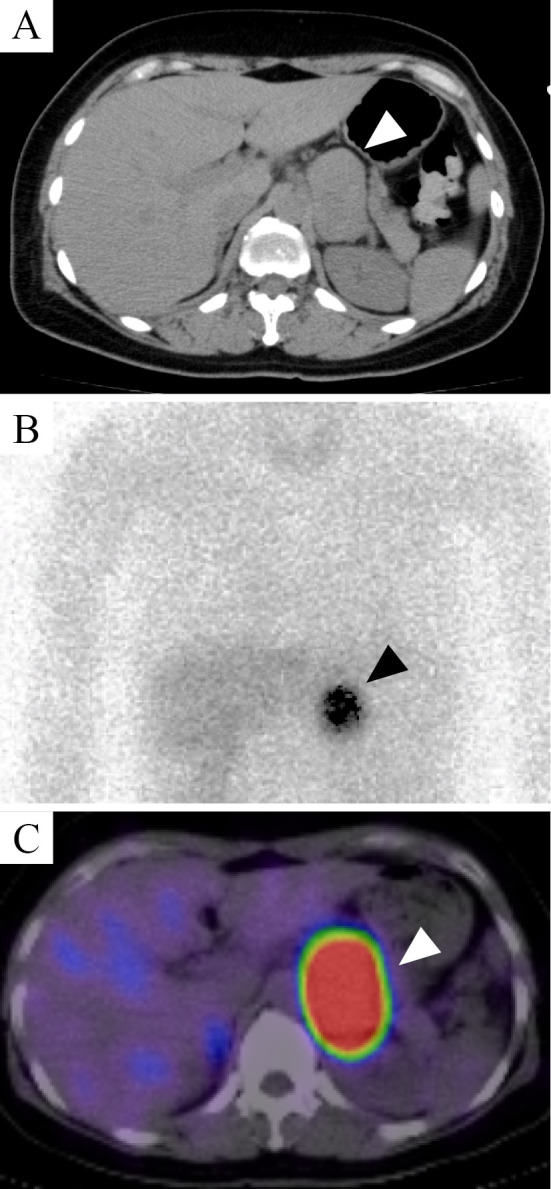 Figure 2.