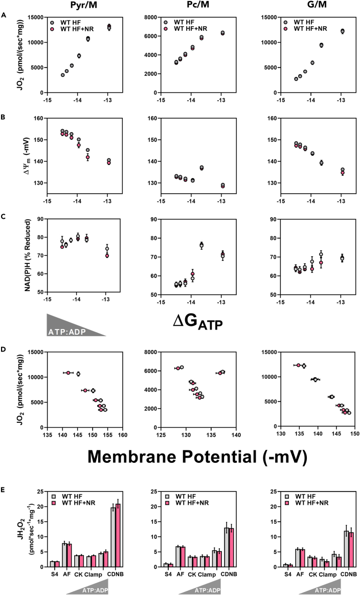 Figure 7