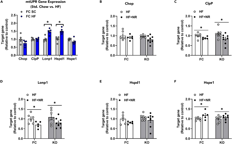 Figure 4