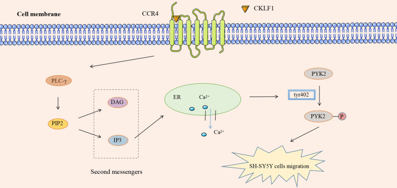 Figure 5