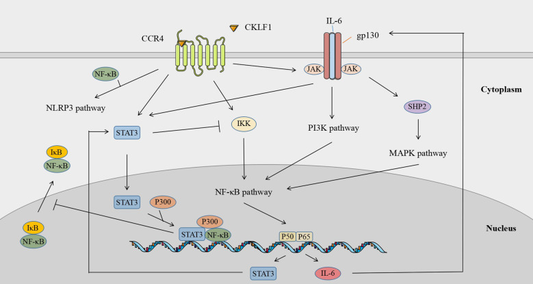 Figure 7