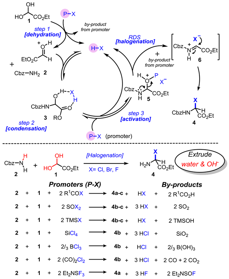 Scheme 3.