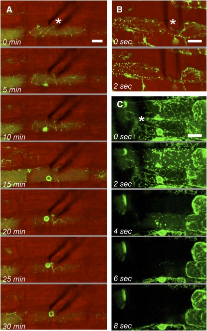 Figure 3.