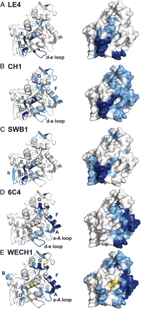 FIGURE 5.