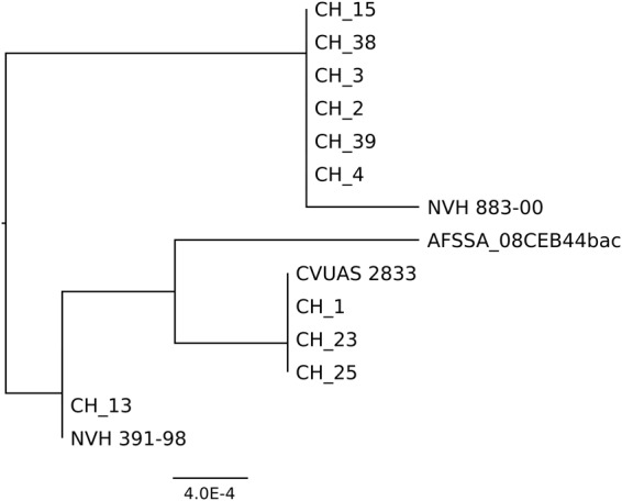 Figure 4