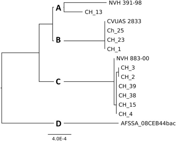 Figure 7